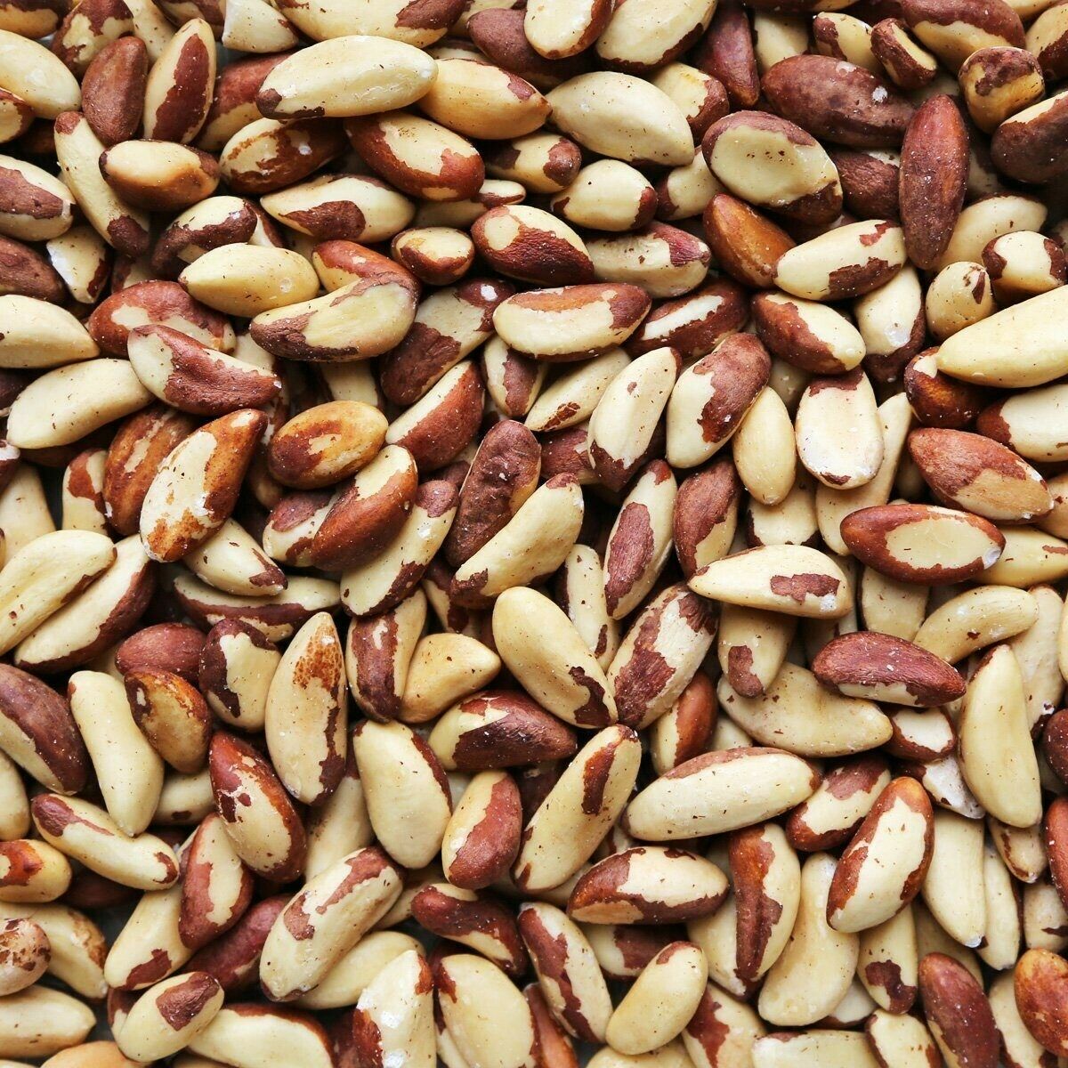 White Lion Foods Utilises Innovative Sukuk Instrument for SME Financing