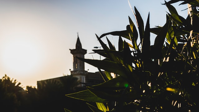 Saudi Arabia’s National Debt Management Center Closes SAR 4.699 Billion SAR-denominated Sukuk Issuance for December 2022 