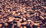 Malaysia’s JB Cocoa Issues MYR 100 Million Wakalah Sukuk under Sukuk Wakalah Programme 